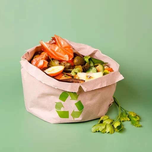 Gambar sampah Organik